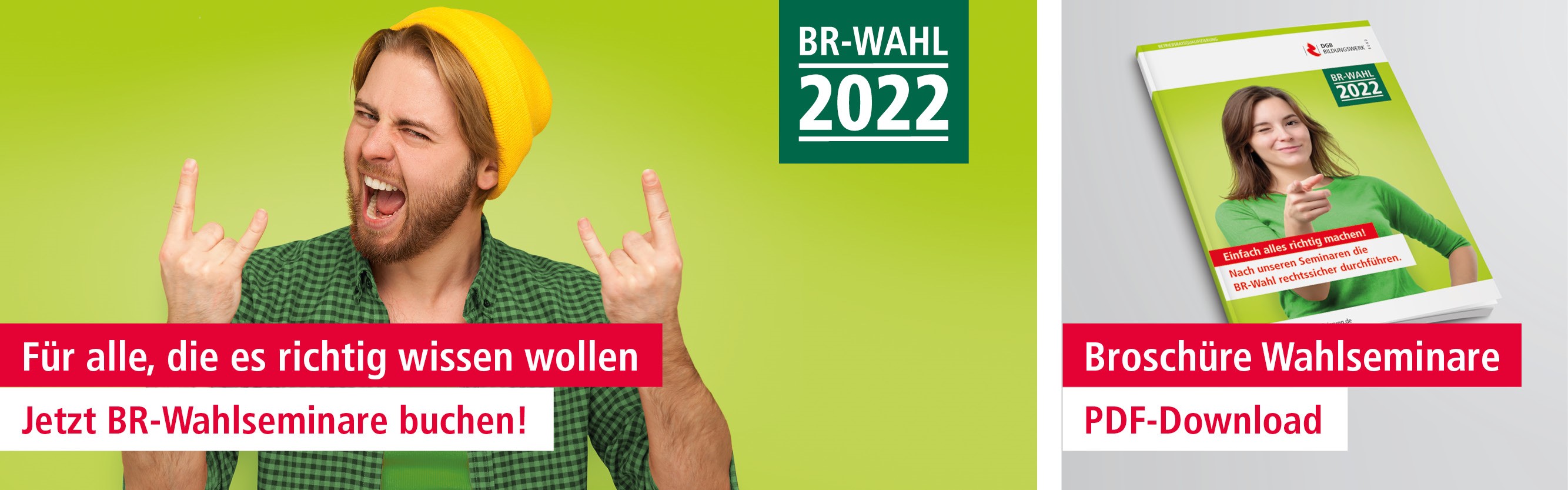 Header BR-Wahl 2022