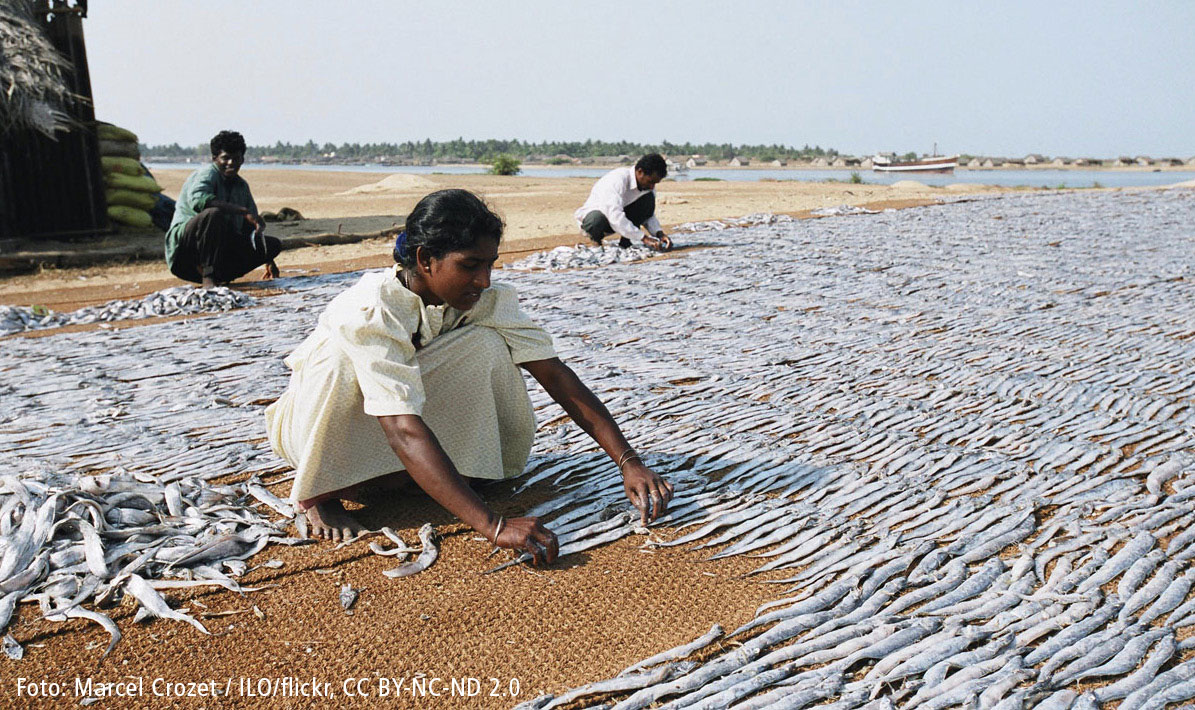 Arbeiterin beim Fischtrocknen am Strand.