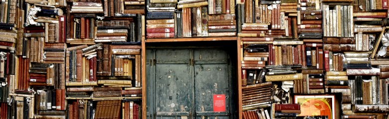 Wand mit Büchern und einer Tür